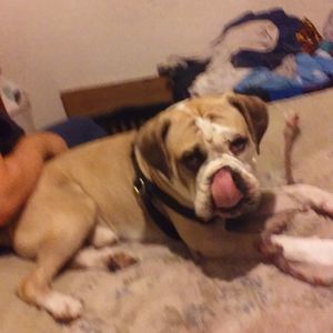 Meet your Posher, Diane